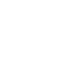 Smart Key icon